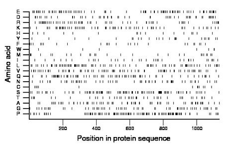 amino acid map