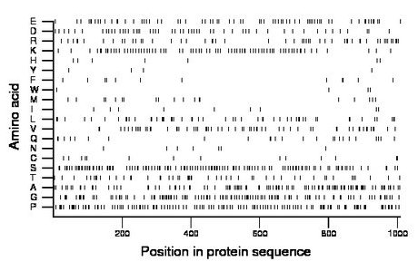 amino acid map