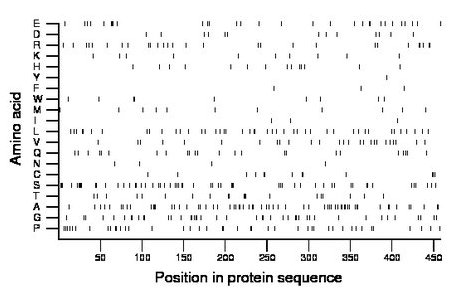 amino acid map