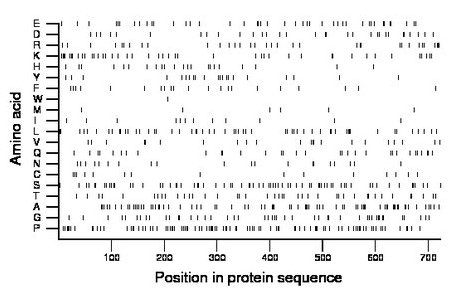 amino acid map