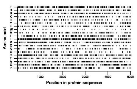 amino acid map