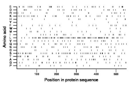 amino acid map