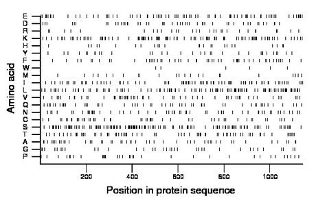 amino acid map