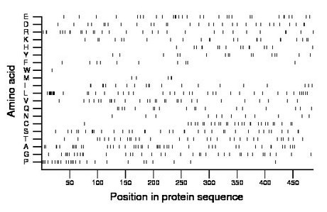 amino acid map