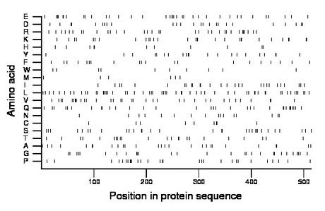 amino acid map