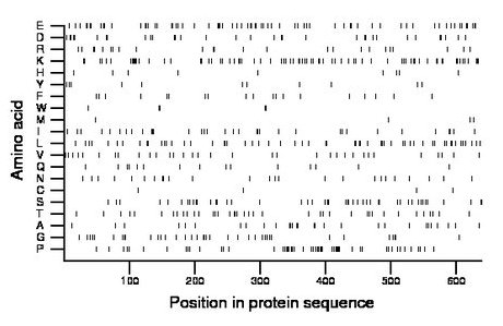 amino acid map