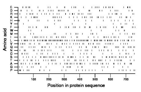 amino acid map