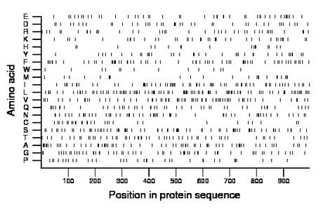 amino acid map