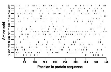 amino acid map