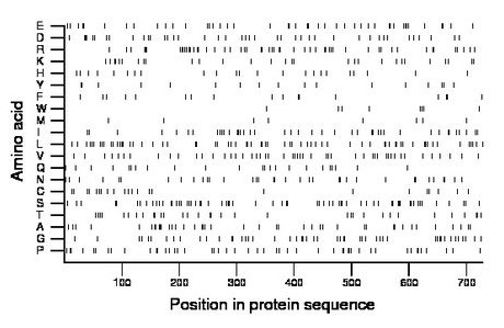 amino acid map