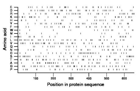 amino acid map