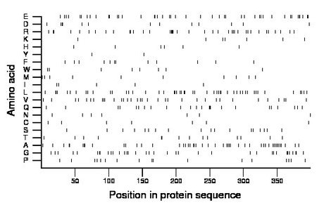 amino acid map