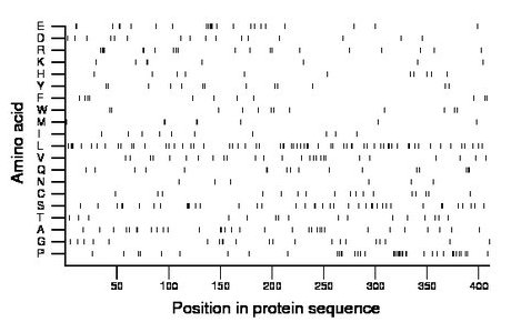 amino acid map