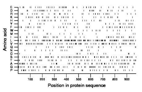 amino acid map