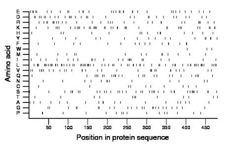 amino acid map