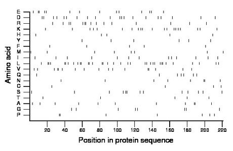 amino acid map