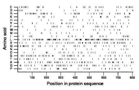 amino acid map