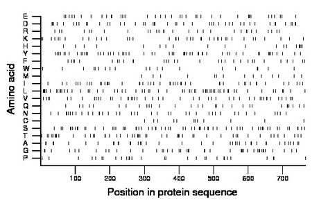 amino acid map