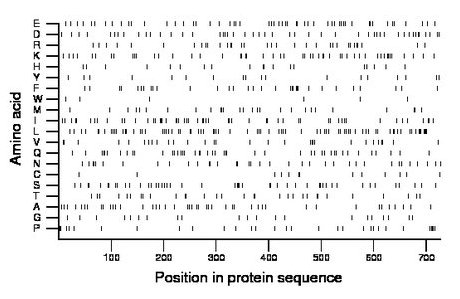 amino acid map