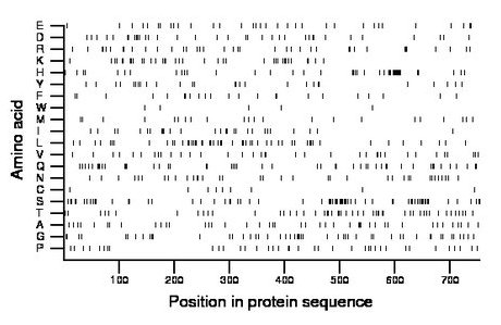 amino acid map