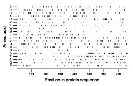 amino acid map