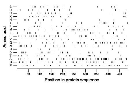 amino acid map