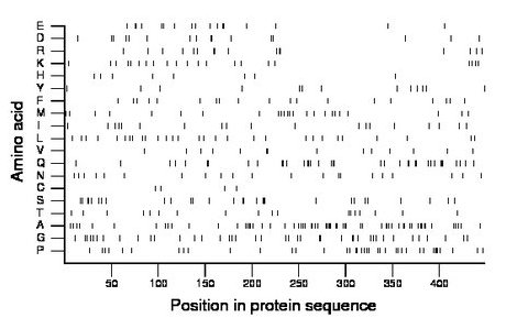 amino acid map