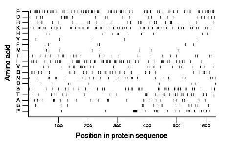 amino acid map