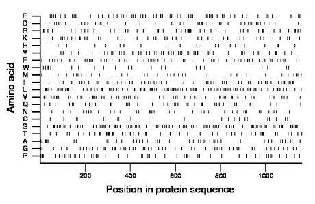 amino acid map