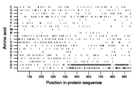 amino acid map