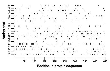 amino acid map