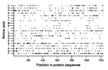 amino acid map