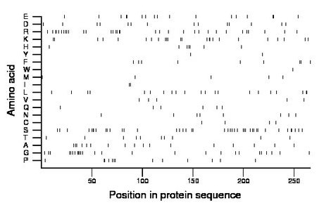 amino acid map