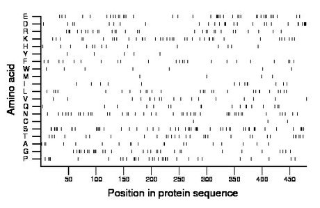 amino acid map