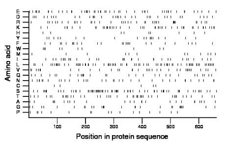 amino acid map