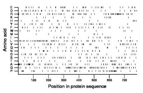 amino acid map