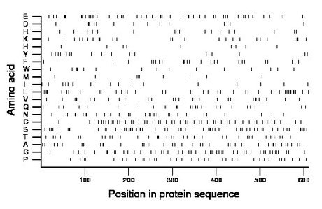 amino acid map