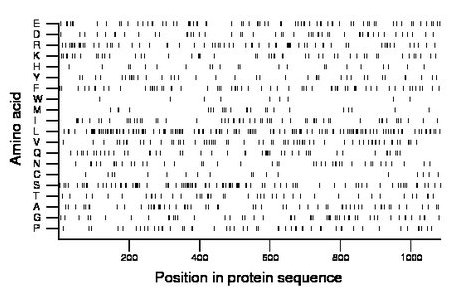 amino acid map