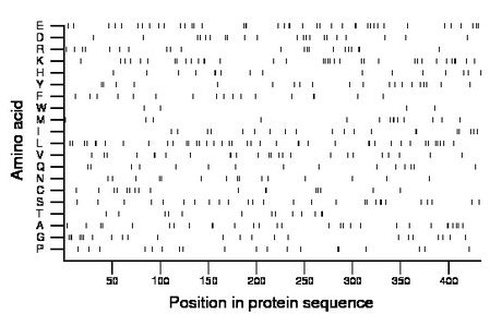 amino acid map