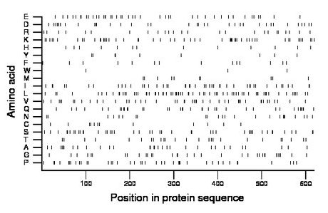 amino acid map