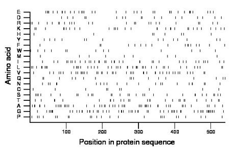 amino acid map