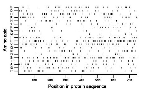 amino acid map