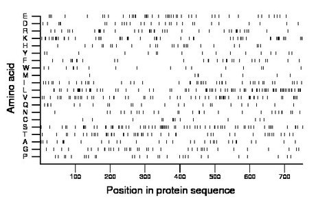 amino acid map