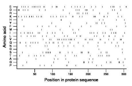 amino acid map