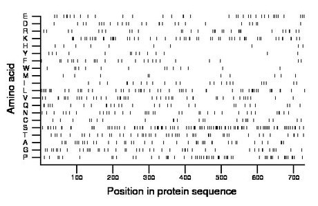 amino acid map