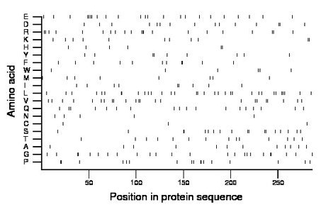 amino acid map