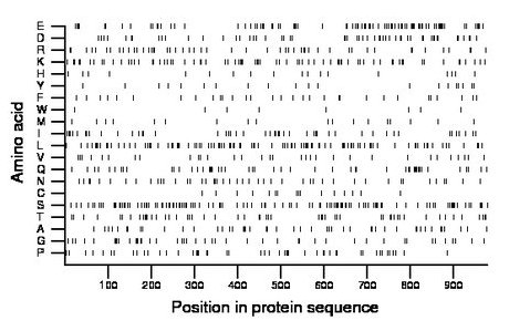 amino acid map