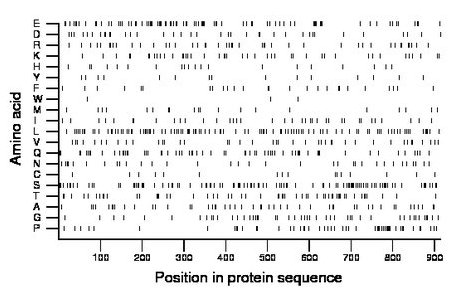 amino acid map