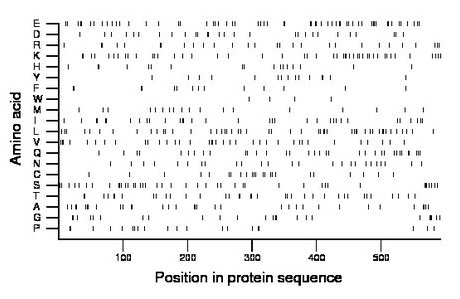 amino acid map