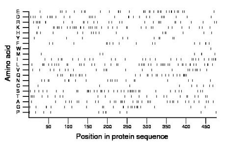 amino acid map